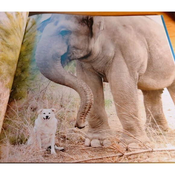 Tarra and Bella The Elephant and Dog Who Became Best Friends Carol Buckley Book - Picture 4 of 6